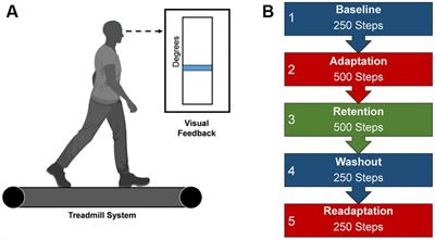 Reinforcement feedback impairs locomotor adaptation and retention